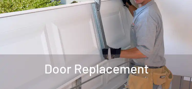  Door Replacement 