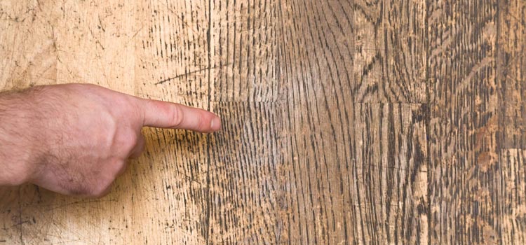 Wood Door Scratch Repair in Canyon Lake